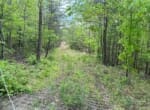 IMG_0295 (2)